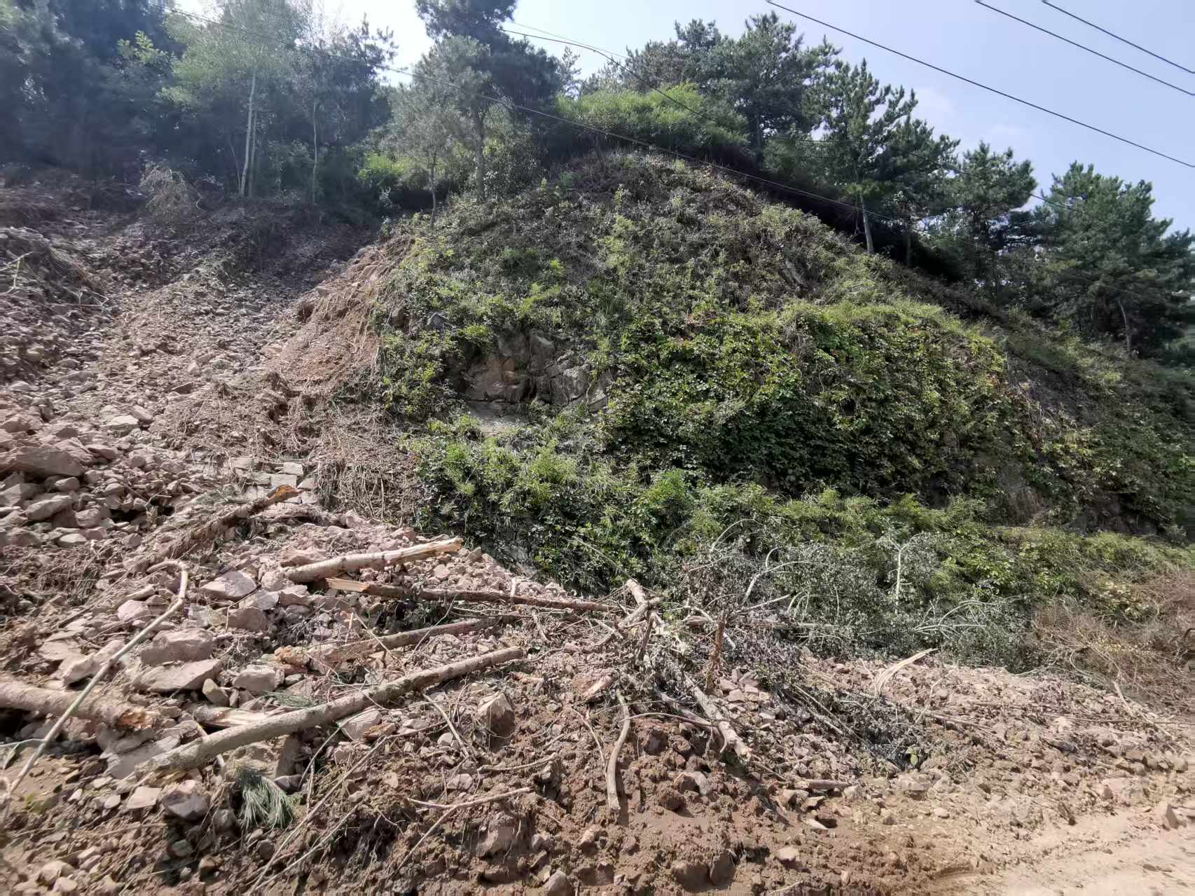 壹号娱乐app官网(中国)官方版下载