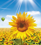 壹号娱乐app官网(中国)官方版下载