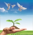 壹号娱乐app官网(中国)官方版下载